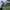 Reaction Speed Training Tool Reaction Training Stick