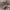 Home Abdominal Muscle Training Fitness Equipment